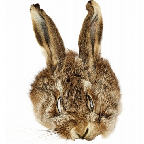 Hare & Rabbit